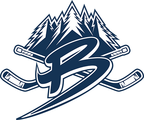 BEMIDJI YOUTH HOCKEY (EXAMPLE STORE)
