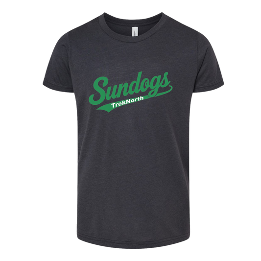 ***CLEARANCE*** Bella Canvas Youth Dark Grey Triblend Tee- TN4